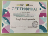 Инклюзивные технологии и цифровые инструменты сопровождения обучающихся с ОВЗ