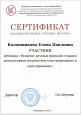 Вебинар. Развитие речевых функций старших дошкольников посредством конструирования и моделирования