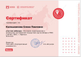 Наглядное моделирование и разрешение противоречий посредством кругов Эйлера и ТРИЗ у детей с ОВЗ