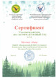 Конкурсы Районного уровня