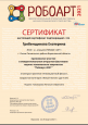 Участие в фестивале