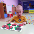 Божья коровка
