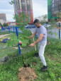 Акция "Посади дерево"