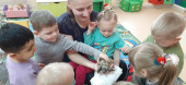 Встреча с питомцами