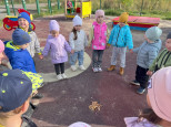 Наши любимые прогулки