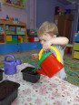 У бабули в огороде
