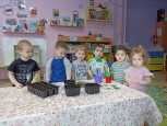 У бабули в огороде