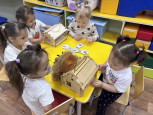 Крылатые соседи