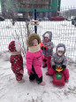 Крылатые соседи