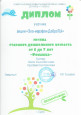 Достижения в период 2024 - 2025 г.