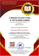 Достижения в период 2024 - 2025 г.