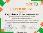 Достижения в период 2024 - 2025 г.