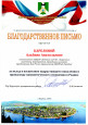 Муниципальные награды