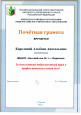Муниципальные награды
