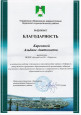 Муниципальные награды