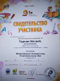 Участие обучающихся в ЗАОЧНЫХ мероприятиях по предмету и внеурочной деятельности 