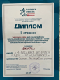 Профессионально-общественная активность
