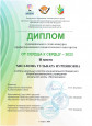 Мои достижения