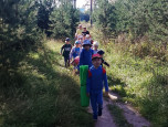 Путешествие в мир природы