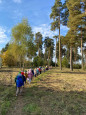Всероссийский день ходьбы