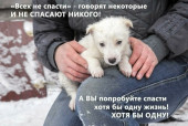 Акция «Твори добро»