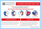 ОРВИ, Грипп, COVID - 19 