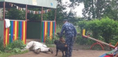 "День кинолога"