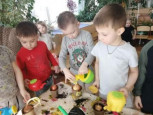 Проект "Огород на подоконнике"