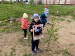 Сад памяти