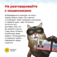 Осторожно! Мошенники!