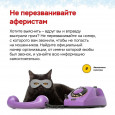 Осторожно! Мошенники!