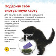 Осторожно! Мошенники!