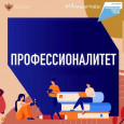 Профессионалитет
