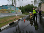 Областные соревнования «Школа безопасности»