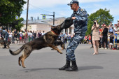 День открытых дверей МВД