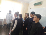 Профессионалы