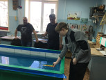 Открытые межмуниципальные соревнования по судомодельному спорту
