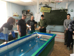 Открытые межмуниципальные соревнования по судомодельному спорту