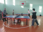Тихая гавань