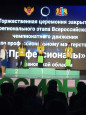 Профессионалы