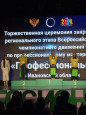 Профессионалы