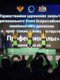 Профессионалы