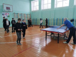 Тихая гавань