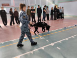 Тихая гавань