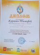 Солнечный эльф