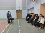 Тихая гавань