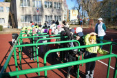 В детском саду № 29 открылась современная спортивная игровая площадка