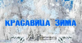 Конкурс "Красавица Зима"