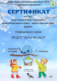 София Н. участник акции "Каждой пичужке своя кормушка"