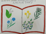 Конкурс экологических рисунков